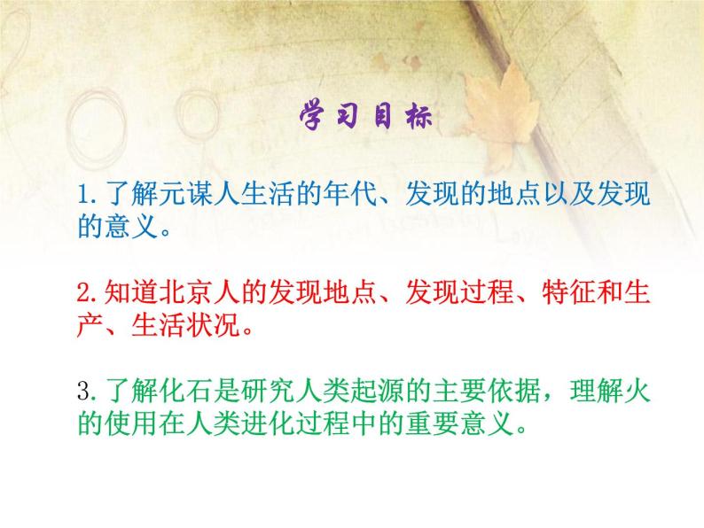 七年级上册历史第1课《中国早期人类的代表—北京人》ppt课件02