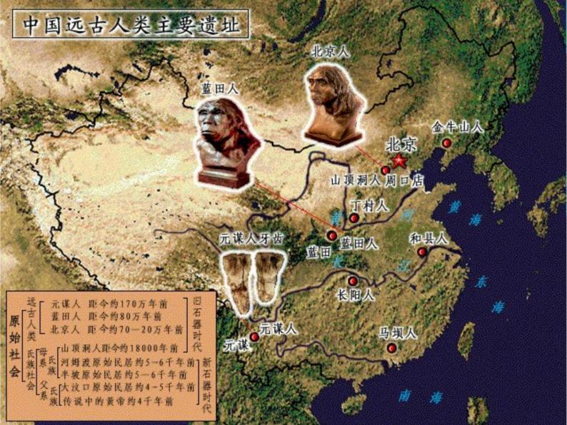 七年级上册历史第1课《中国早期人类的代表—北京人》ppt课件07