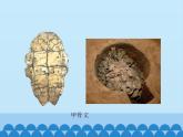 部編版七年級(jí)上冊(cè) 歷史 課件 21.活動(dòng)課：讓我們共同來感受歷史