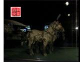 人教版七年级历史上册部编人教版历史《秦统一中国》课件ppt课件 (2)