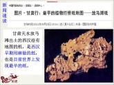 七上历史-两汉的科技与文化ppt课件