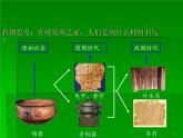部编版七年级上册 历史 课件 15.两汉的科技和文化