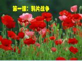 最新人教部编版八年级上册历史鸦片战争课件