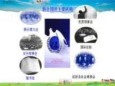 人教版歷史九年級下冊第20課聯(lián)合國與世界貿易組織課件PPT