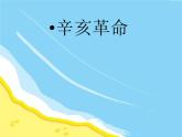 最新人教部编版八年级上册历史辛亥革命 ppt课件