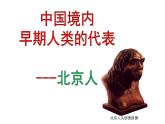 部编版历史七年级上册第1课 中国境内早期人类的代表—北京人  课件（14张PPT）