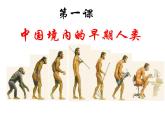 人教版七年级历史上册第1课中国早期的人类代表—北京人  课件（27张ppt） （共27张PPT）