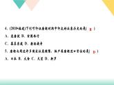 人教部编版七年级历史下册第4课　唐朝的中外文化交流课件