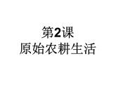 新人教版历史七年级上册课件-第2课《原始农耕生活》 （共28张PPT）