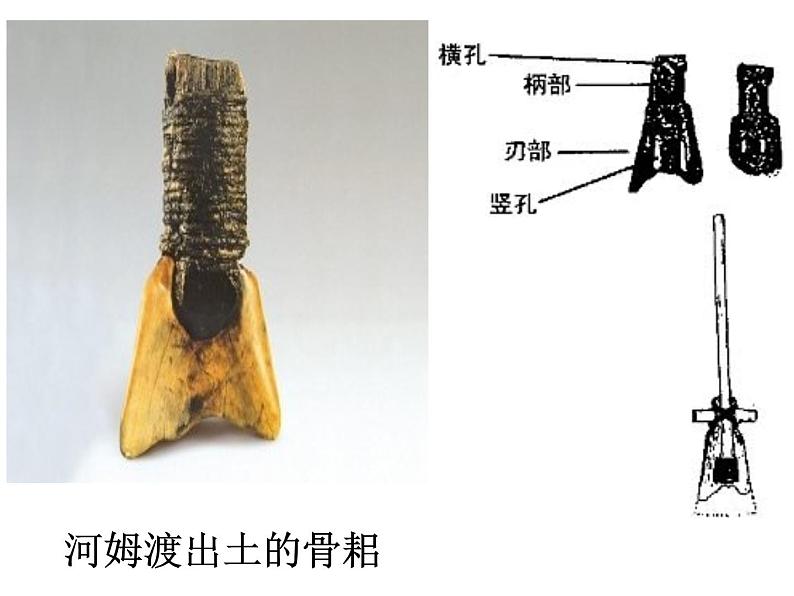 2016年新人教版历史七年级上册课件-第2课《原始农耕生活》 （共28张ppt）第6页
