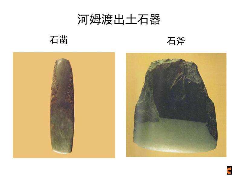 2016年新人教版历史七年级上册课件-第2课《原始农耕生活》 （共28张ppt）第7页