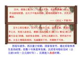 部编版历史七年级上册第11课 西汉建立和“文景之治” 课件+教案1