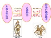 人教版历史七年级下册课件 第8课 金与南宋的对峙（共17张ppt）