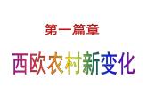 人教部编版九年级历史上册 第13课 西欧经济和社会的发展（课件）