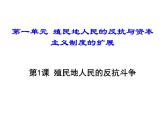 人教部编版九年级历史下册 第1课     殖民地人民的反抗斗争 20张ppt课件