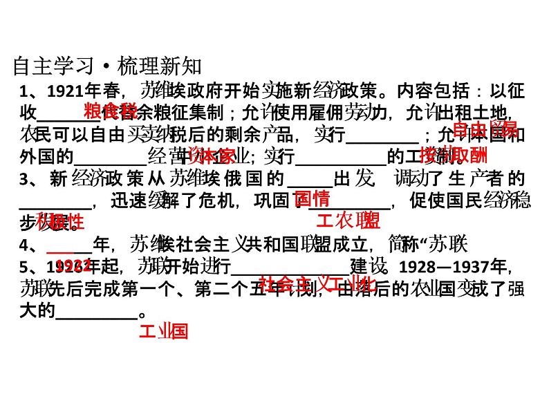 人教部编版九年级历史下册 第11课  苏联的社会主义建设 课件04