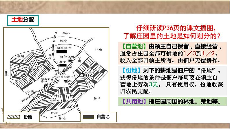 3.8 西欧庄园 课件 2021-2022学年 部编九年级历史上册08