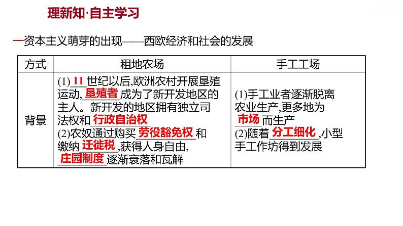 第五单元第13课西欧经济和社会的发展习题课件 2021-2022学年部编版历史九年级上册02