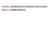 第五单元第13课西欧经济和社会的发展习题课件 2021-2022学年部编版历史九年级上册