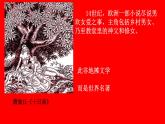 第14课 文艺复兴运动（23张PPT课件）2020--2021学年部编版九年级历史上册第五单元