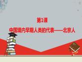 部编版七年级历史上册：1.1 中国早期人类的代表——北京人-课件