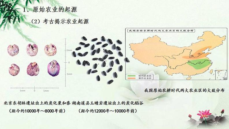 部编版七年级历史上册：1.2 原始农耕生活-课件08