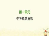 秋学期九年级历史上册第一单元古代亚非文明中考真题演练课件新人教版