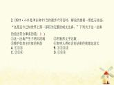 秋學(xué)期九年級歷史上冊期末專題訓(xùn)練卷古代世界文明的演進(jìn)課件新人教版