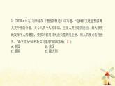 秋學(xué)期九年級歷史上冊專題特訓(xùn)卷資本主義的曙光課件新人教版