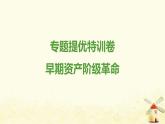 秋學(xué)期九年級歷史上冊專題特訓(xùn)卷早期資產(chǎn)階級革命課件新人教版