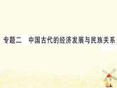 七年级历史上册期末专题复习二中国古代的经济发展与民族关系作业课件新人教版