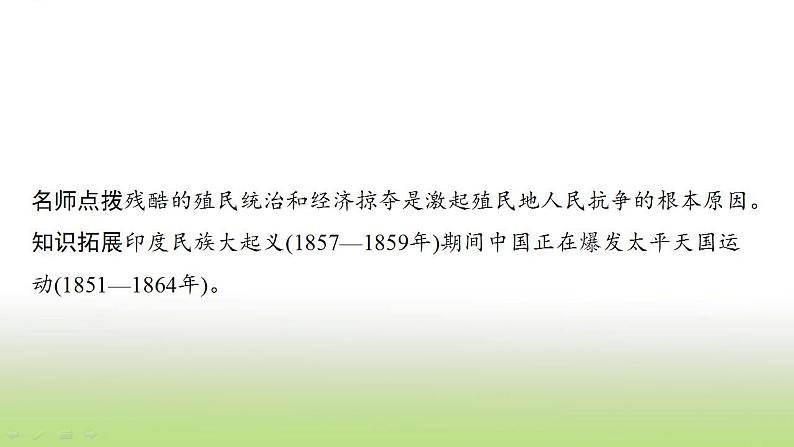 中考历史一轮复习第27单元殖民地人民的反抗与资本主义制度的扩展课件第8页