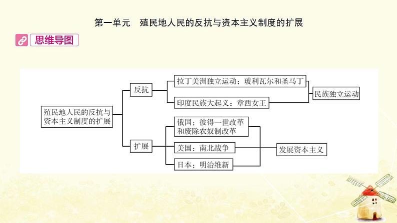 中考历史复习考点世界近代史第一单元殖民地人民的反抗与资本主义制度的扩展课件02