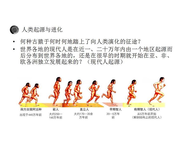2021-2022人教部编版七年级历史上册 第一单元 第1课 中国境内早期人类的代表——北京人（共18张PPT）课件PPT04