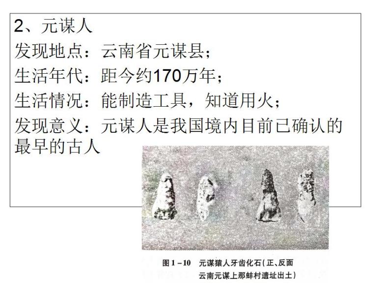 2021-2022人教部编版七年级历史上册 第一单元 第1课 中国境内早期人类的代表——北京人（共18张PPT）课件PPT06