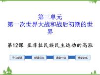 初中历史人教部编版九年级下册第12课 亚非拉民族民主运动的高涨习题ppt课件