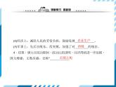 第02课　从“贞观之治”到“开元盛世” 习题课件