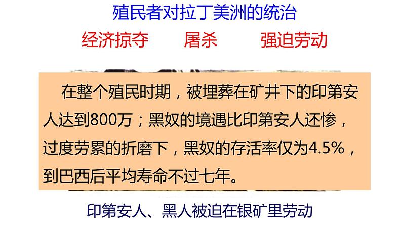 2021-2022学年部编版九年级历史下册 第1课 《殖民地人民的反抗斗争》课件（16张PPT）第5页