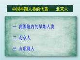第1课 中国早期人类的代表北京人课件PPT