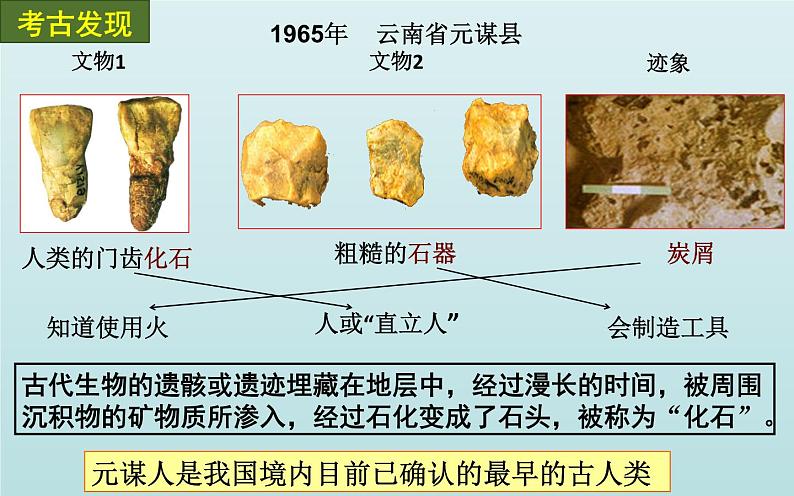 第1课 中国早期人类的代表北京人课件PPT06