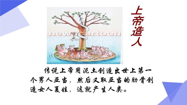 人教部编版七年级历史上册第1课、中国早期人类的代表   课件04