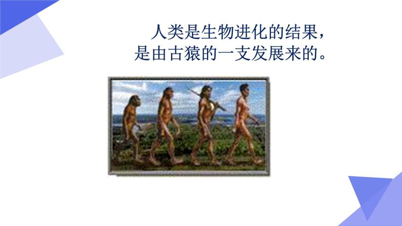 人教部编版七年级历史上册第1课、中国早期人类的代表   课件05
