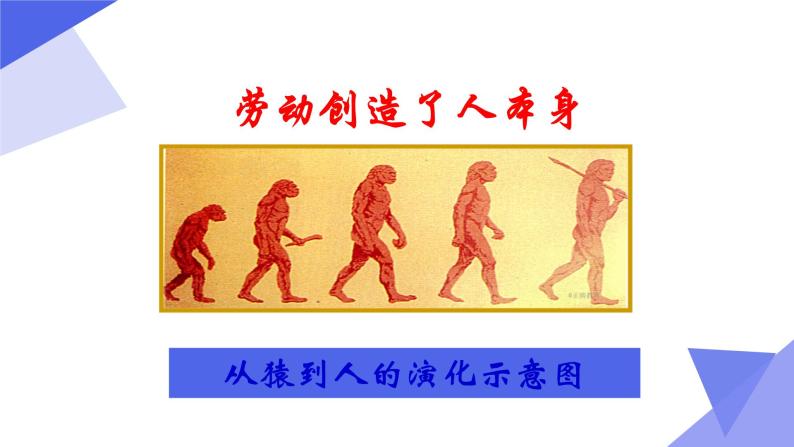 人教部编版七年级历史上册第1课、中国早期人类的代表   课件06