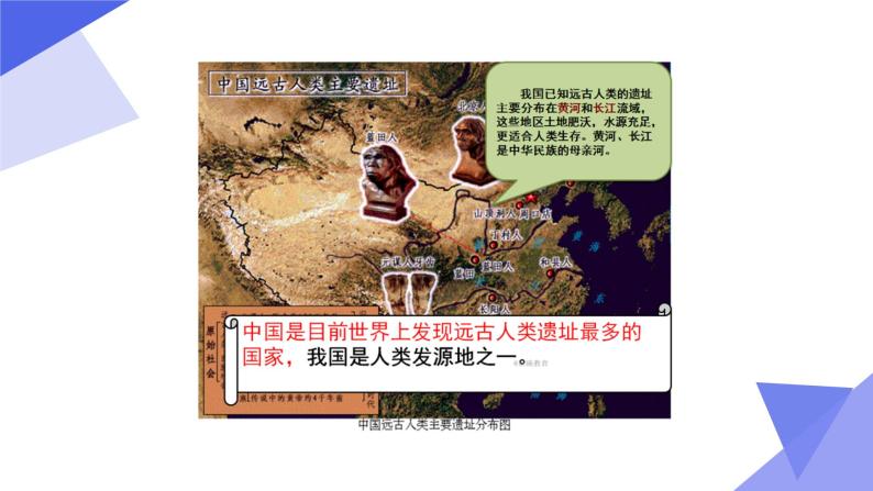 人教部编版七年级历史上册第1课、中国早期人类的代表   课件07