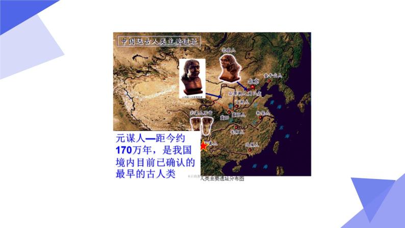 人教部编版七年级历史上册第1课、中国早期人类的代表   课件08