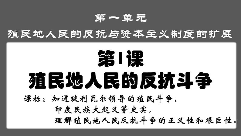 最新人教统编版九年级历史下册 第1课《殖民地人民的反抗斗争》课件（17张PPT）02