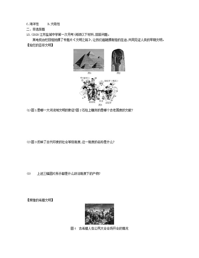 01-专项综合全练(一)古代亚、非、欧文明第3页