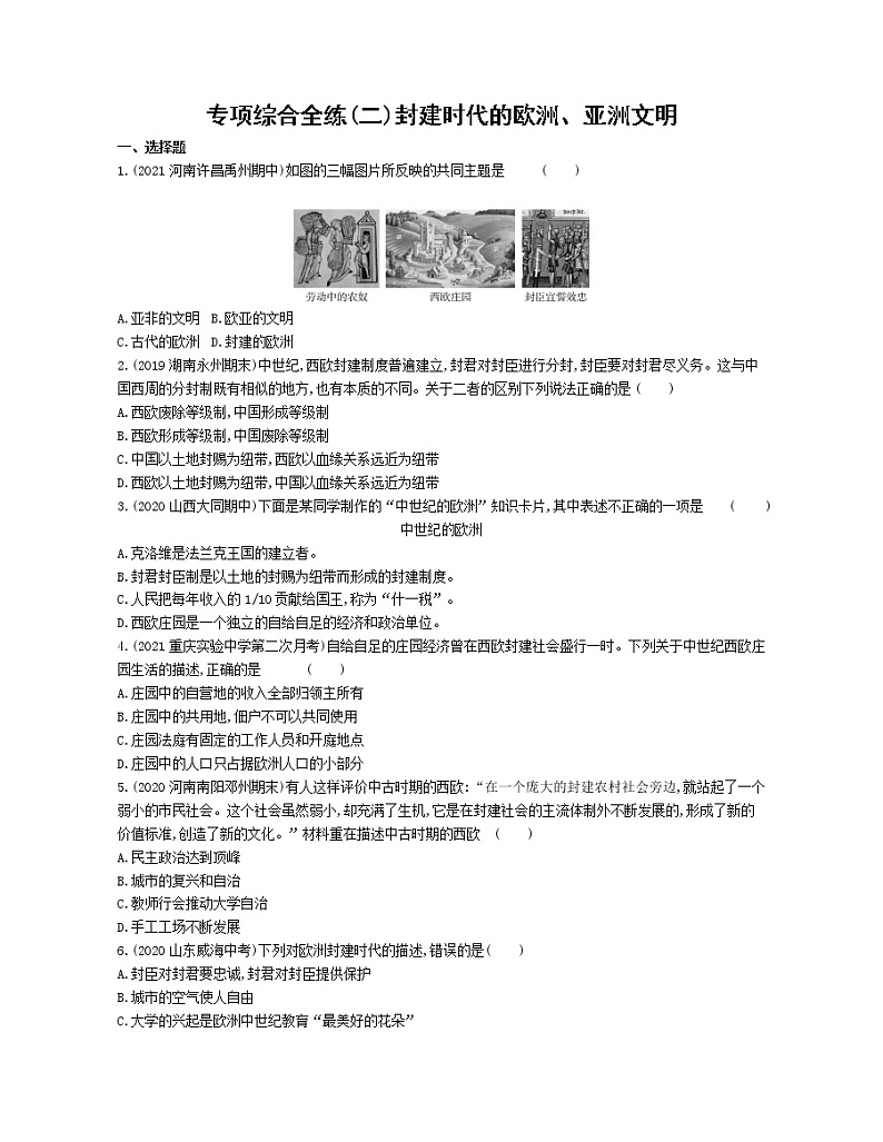 02-专项综合全练(二)封建时代的欧洲、亚洲文明第1页