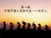 部编版七年级上册 历史 课件 1.中国早期人类的代表-北京人