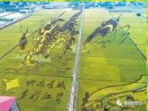 活動(dòng)課：考察近代歷史遺跡PPT課件免費(fèi)下載